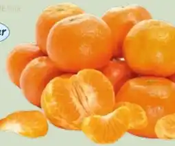 Edeka Xpress SanLucar Mandarinen Angebot