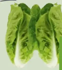 Edeka Xpress Edeka Herzstücke Mini Romanasalat Angebot