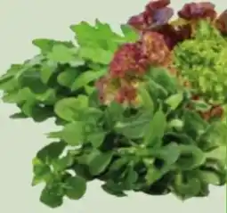 Edeka Xpress Bio-Rucola Angebot