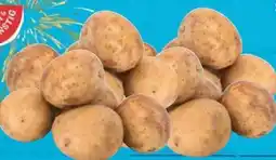 E-Center Gut & Günstig Speisekartoffeln Angebot