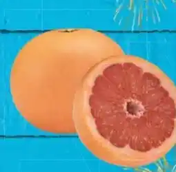 E-Center SanLucar Grapefruit Angebot