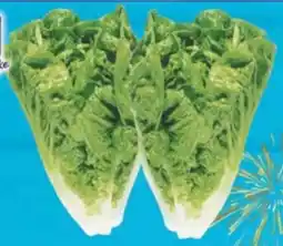 E-Center Edeka Herzstücke Mini Romanasalat Angebot