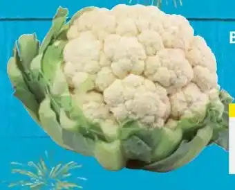 E-Center Blumenkohl Angebot