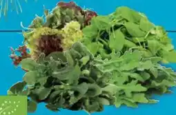 E-Center Bio Rucola-Salat Angebot