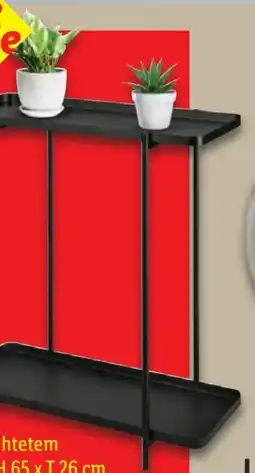 Lidl Livarno Home Regal Angebot