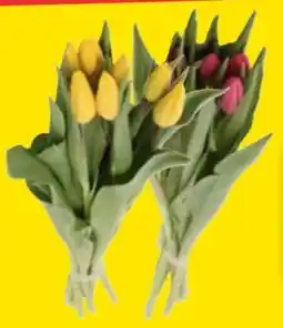 E-Center Tulpen Angebot