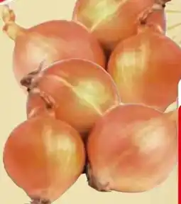 Edeka Gut & Günstig Zwiebeln Angebot