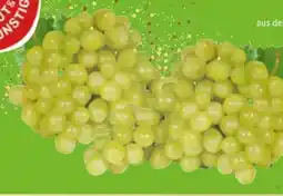 Edeka Gut & Günstig Tafeltrauben Angebot