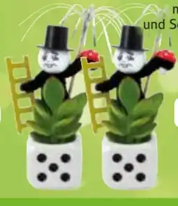 Edeka Glückswürfel mit Schornsteinfeger Angebot