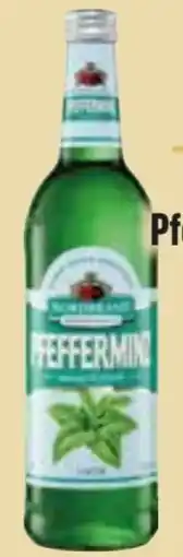 Edeka Nordbrand Nordhausen Pfefferminzlikör Angebot