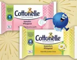 Edeka Cottonelle Feuchtes Toilettenpapier Angebot