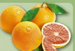 REWE Center Rewe Beste Wahl Grapefruit Angebot