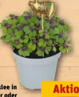 REWE Center Rewe Beste Wahl Glücksklee Angebot