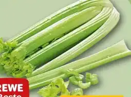 REWE Center Rewe Beste Wahl Staudensellerie Angebot