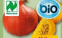 REWE Center Bio Kürbis Hokkaido Angebot