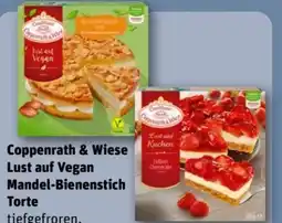REWE Center Coppenrath & Wiese Lust auf Vegan Mandel Bienenstich-Torte Angebot