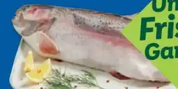 Lidl Fischerstolz Lachsforelle Angebot