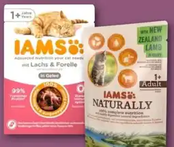 REWE Center Iams Katzennahrung Angebot