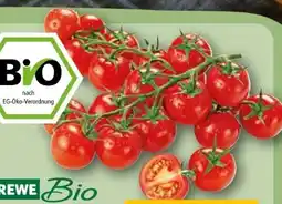 REWE Rewe Bio Mini Cherry Rispentomaten Angebot