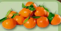 REWE Blattclementine Angebot