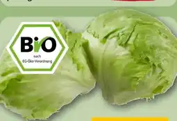 REWE Rewe Bio Bio-Eisbergsalat Angebot