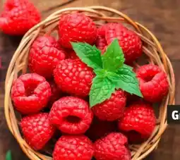 REWE Himbeeren Angebot