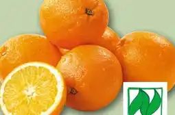 REWE Rewe Bio Orangen Angebot