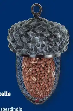 Lidl Futterstelle Eichel Angebot