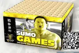 Scheck-in-Center Lesli Feuerwerk Silvesterzauber Sumo Games Angebot