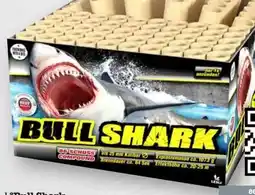 Scheck-in-Center Lesli Feuerwerk Silvesterzauber Bull Shark Angebot