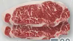 Scheck-in-Center Roastbeef Angebot