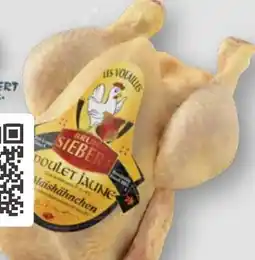 Scheck-in-Center Französisches Maishähnchen Angebot