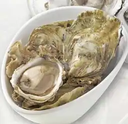 Scheck-in-Center Austern Spezial Isigny Angebot