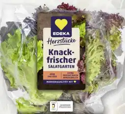 Scheck-in-Center Edeka Herzstücke Blattsalat-Mix Angebot