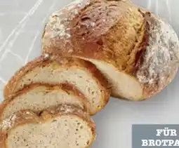 Scheck-in-Center Scheck-in Center Gründerbrot Dinkelbrot Angebot