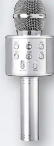 Scheck-in-Center Lenco Karaoke-Mikrofon BMC-040 Angebot