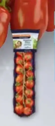 Edeka SanLucar Mini Pflaumentomaten Nasch Angebot