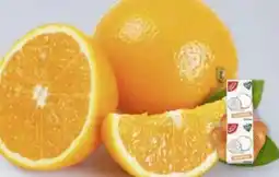 Edeka Gut & Günstig Orangen Angebot