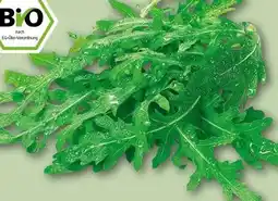 REWE Center Rewe Bio Bio-Rucola Angebot