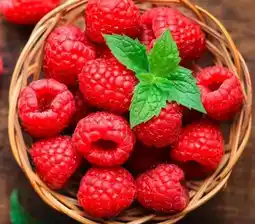 REWE Center Rewe Beste Wahl Frische Himbeeren Angebot