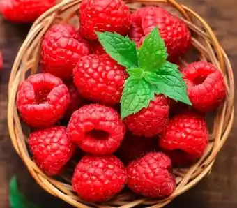 REWE Center Rewe Beste Wahl Frische Himbeeren Angebot