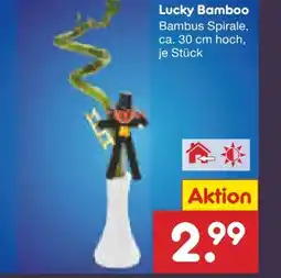 Netto Marken-Discount Lucky Bamboo Angebot