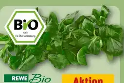 REWE Rewe Bio Feldsalat Angebot