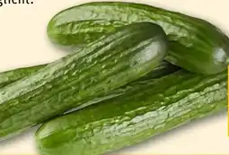 REWE Rewe Regional Mini Gurke Angebot