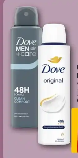 REWE Dove Deospray Angebot