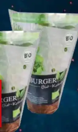 EDEKA Bandelt Bio Topfkräuter Angebot