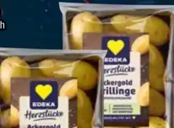 EDEKA Bandelt Edeka Herzstücke Speisekartoffeln Ackergold Drillinge Angebot