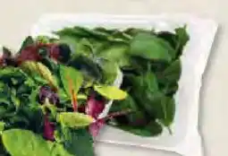 Edeka Frischemarkt Baby Spinat Angebot