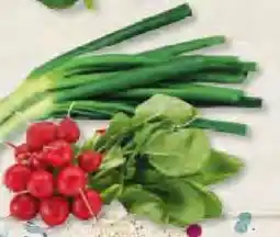 Edeka Frischemarkt Radieschen Angebot