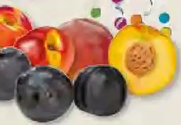 Edeka Frischemarkt Nektarinen Angebot